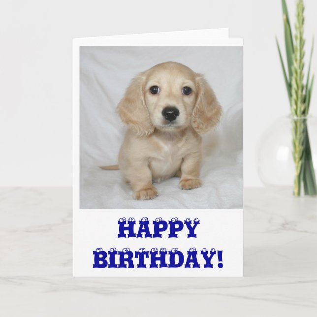 Carte Teckel de joyeux anniversaire (Devant)
