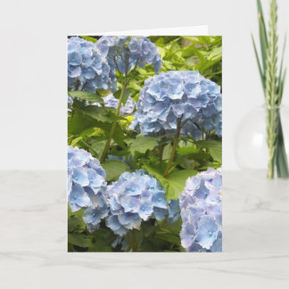 Carte Teintes de bleu des hortensias