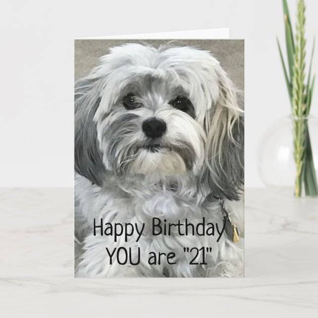 Carte TEMPS DE CÉLÉBRER LE "21ème" ANNIVERSAIRE (Devant)