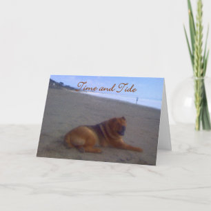 Carte Temps et marée