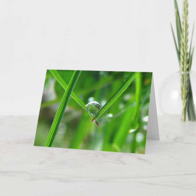 Carte Tenir les mains, Dessiner la poésie de la nature (Devant)