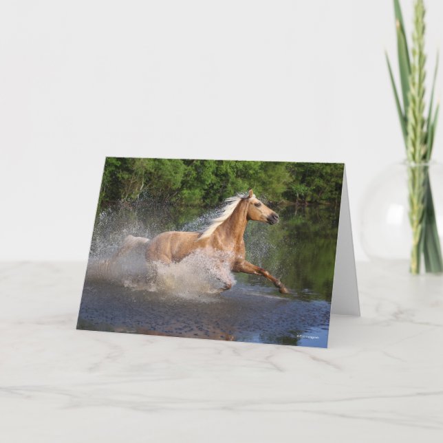Carte Tennessee Walker Traversant L'Eau (Devant)
