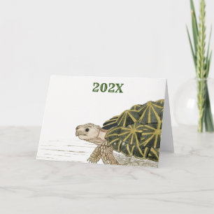 Carte Tente Tortoise Turtle Beach Sea Animal Jigsaw Ki