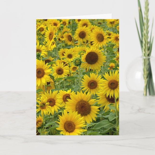 Carte Terrain de tournesol d'anniversaire (Devant)