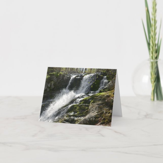 Carte Terrain Run Falls (Devant)