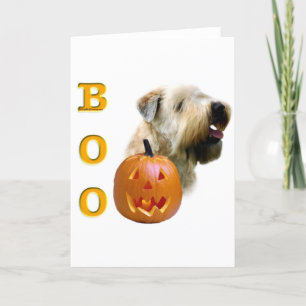 Carte Terrier blond comme les blés doucement enduit