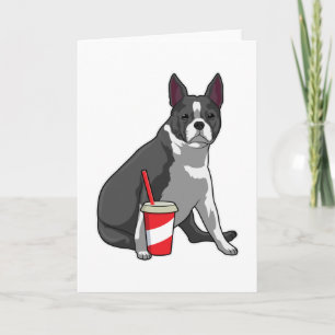 Carte Terrier de Boston avec boisson