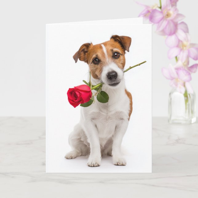 Carte Terrier de Fox Toy Saint-Valentin (Orchidée)