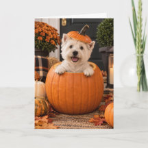 Terrier West Highland Bonjour d'automne Halloween