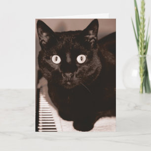 Carte T'es quel âge ?