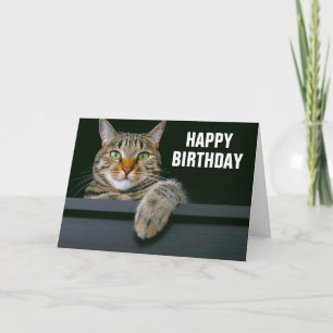 Carte Tête de chat gris Tabby   Joyeux anniversaire
