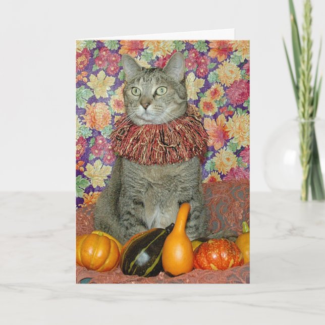 Carte Thanksgiving Brown tabby cat ou Autumn (Devant)