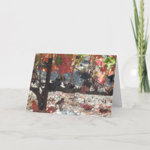 Carte Thanksgiving : Colibri dans le vignoble