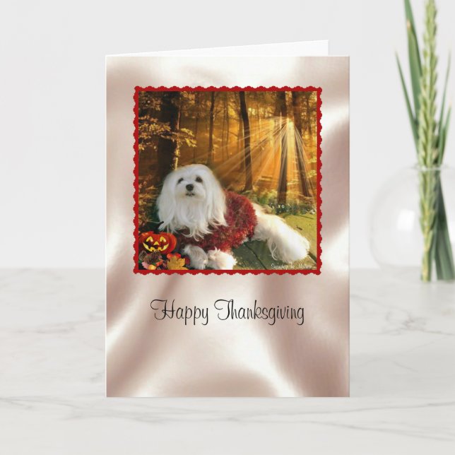 Carte Thanksgiving Maltaise (Devant)