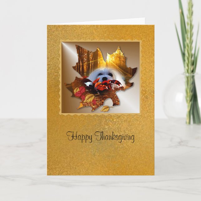 Carte Thanksgiving Maltaise (Devant)