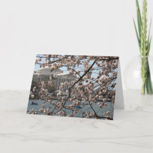 Carte The Cherry Blossoms In Bloom In Washington DC