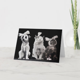 Carte The Sad Trio, Blank Inside