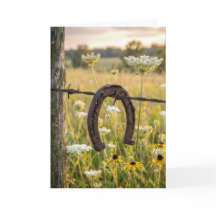 Thinking of You Horseshoe on Barbed Wire Fence