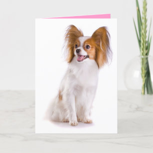 Carte Thinking of You Papillion Puppy Dog Greeting Card