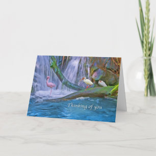 Carte Thinking of You, Tropical Waterfall, Birds