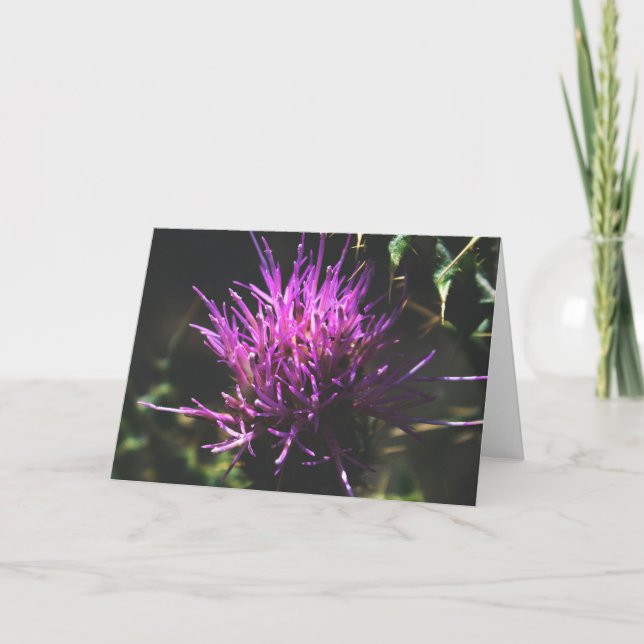 Carte "Thistle Kiss" (Devant)