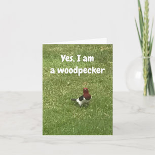 CARTE **THOUGHTFUL WOODPECKER DIT HEUREUX ANNIVERSAIRE**