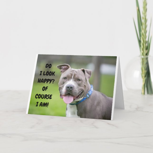 CARTE *THRILLED DOG VOUS ENVOIE DES FÉLICITATIONS* (Devant)