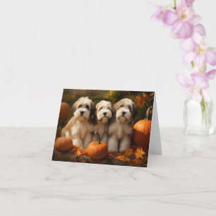 Carte Tibétain Terrier Chiot Automne Citrouille délice