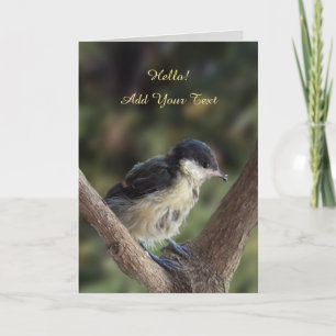 Carte Tidi my Bird le Parus Major