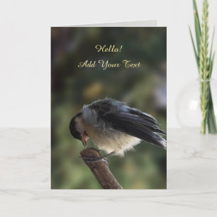 Carte Tidi my Bird le Parus Major