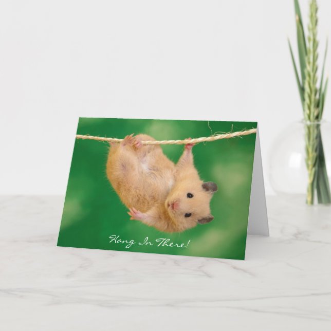 Carte Tiens-Toi Là ! Hamster (Devant)