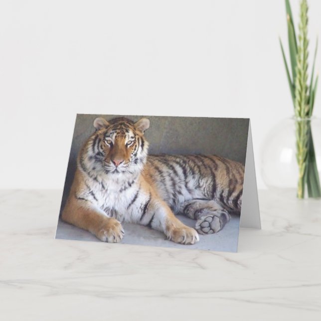 Carte Tiger (Devant)