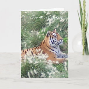 Carte Tiger au repos personnalisé 40e anniversaire