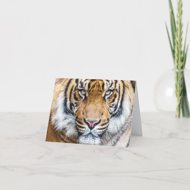 Carte Tiger Nom personnalisé Joyeux anniversaire (Devant)