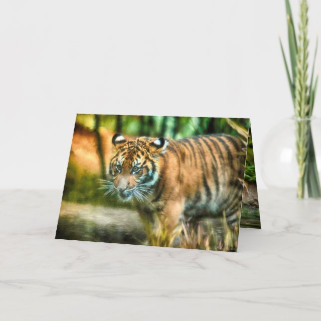 CARTE TIGER YOUTH DE LA NATION SUMATRA (Devant)