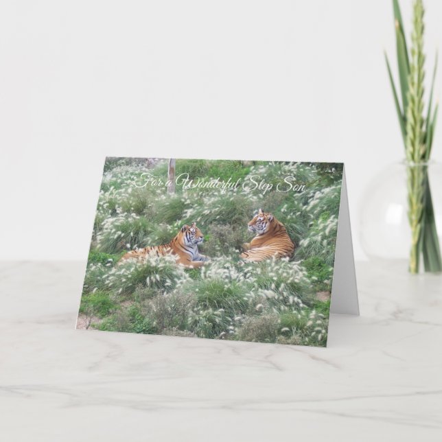 Carte Tigers Step Son Anniversaire (Devant)