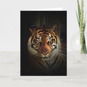 Carte Tigre