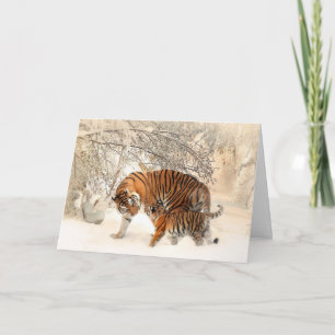 Carte Tigre