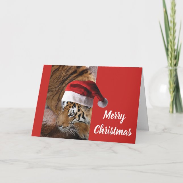 Carte Tigre du Bengale anta Claus (Devant)