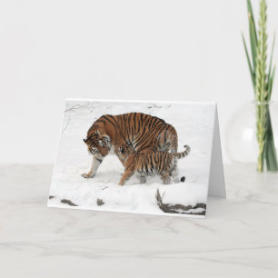 Carte Tigre et CUB de papa de père de joyeux