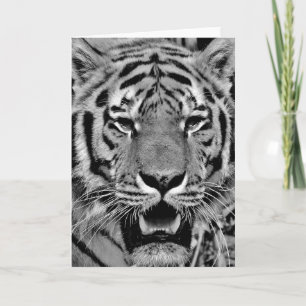 Carte Tigre noir et blanc visage
