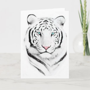 Carte Tigres blancs de Sibérie