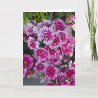 Carte Tiny Pink Flowers Blank Notecard