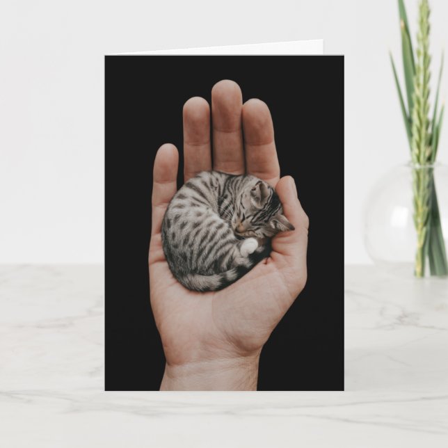 Carte Tiny Tabby (Devant)