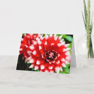 Carte Tip peint rouge & blanc Dahlia's Watercolor Holida