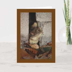 Carte Toad-i-ly Love You Mignonne démonstration d'amour.
