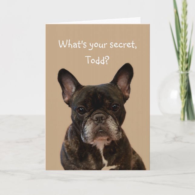 Carte Todd French Bulldog Shakespeare Joyeux anniversair (Devant)