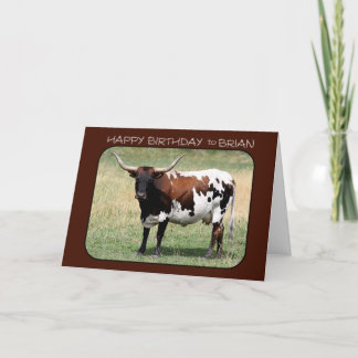 Carte Todd Texas Longhorn Vache Joyeux Anniversaire
