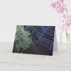 Carte Toile d'araignée roue tisserande orange