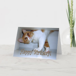 Carte Tomber dans Kitty - Joyeux Anniversaire!